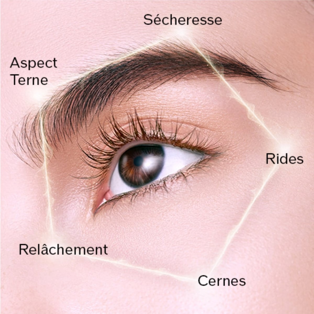 SHISEIDO Future Solution LX Enmei Crème Yeux Ultime