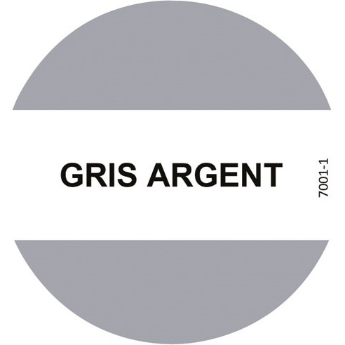 Peinture fer  3 en 1 intérieur et extérieur 0,5 L Brillant - Gris Argent