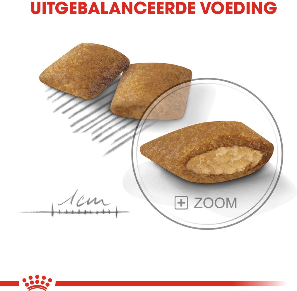Royal Canin hondenvoer Exigent Mini 3 kg