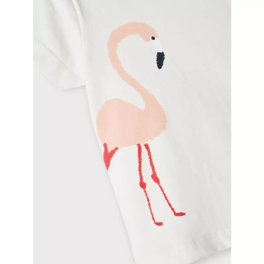 name it T-Shirt Nbfjoy White Alyssum