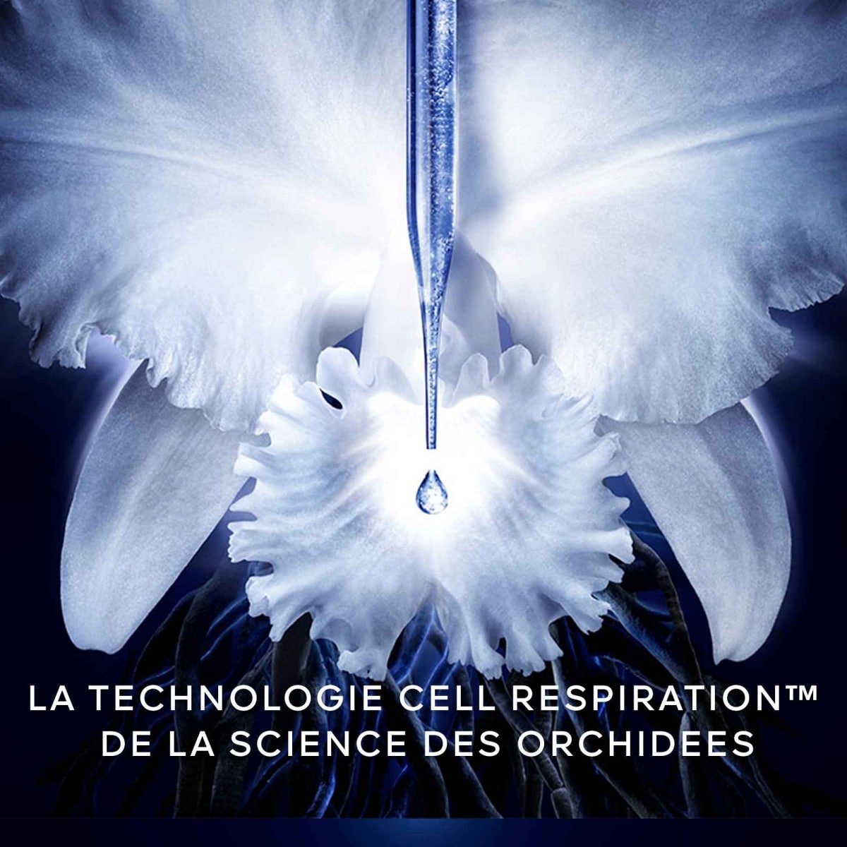 GUERLAIN Orchidée Impériale Le Concentré de Longévité