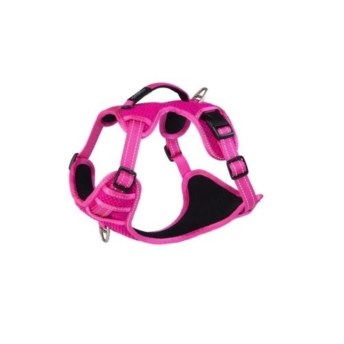 Coleira para cães Rogz Explore em nylon rosa