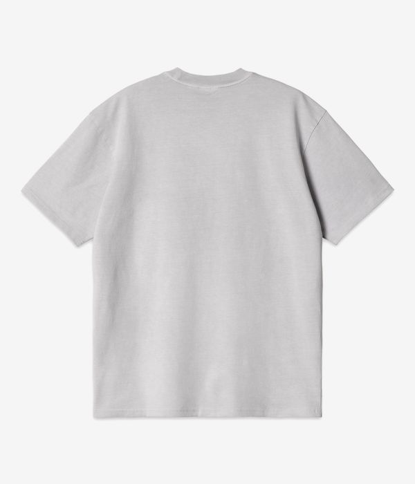 Carhartt WIP Duster Script T-Shirt (basalt garment dyed)