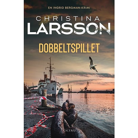 Dobbeltspillet - Christina Larsson