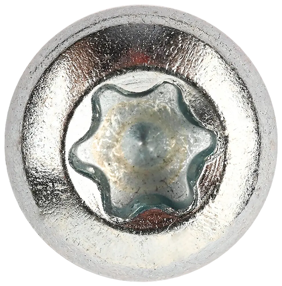 Panskrue 5,0 x 40 mm TX25 100 stk.