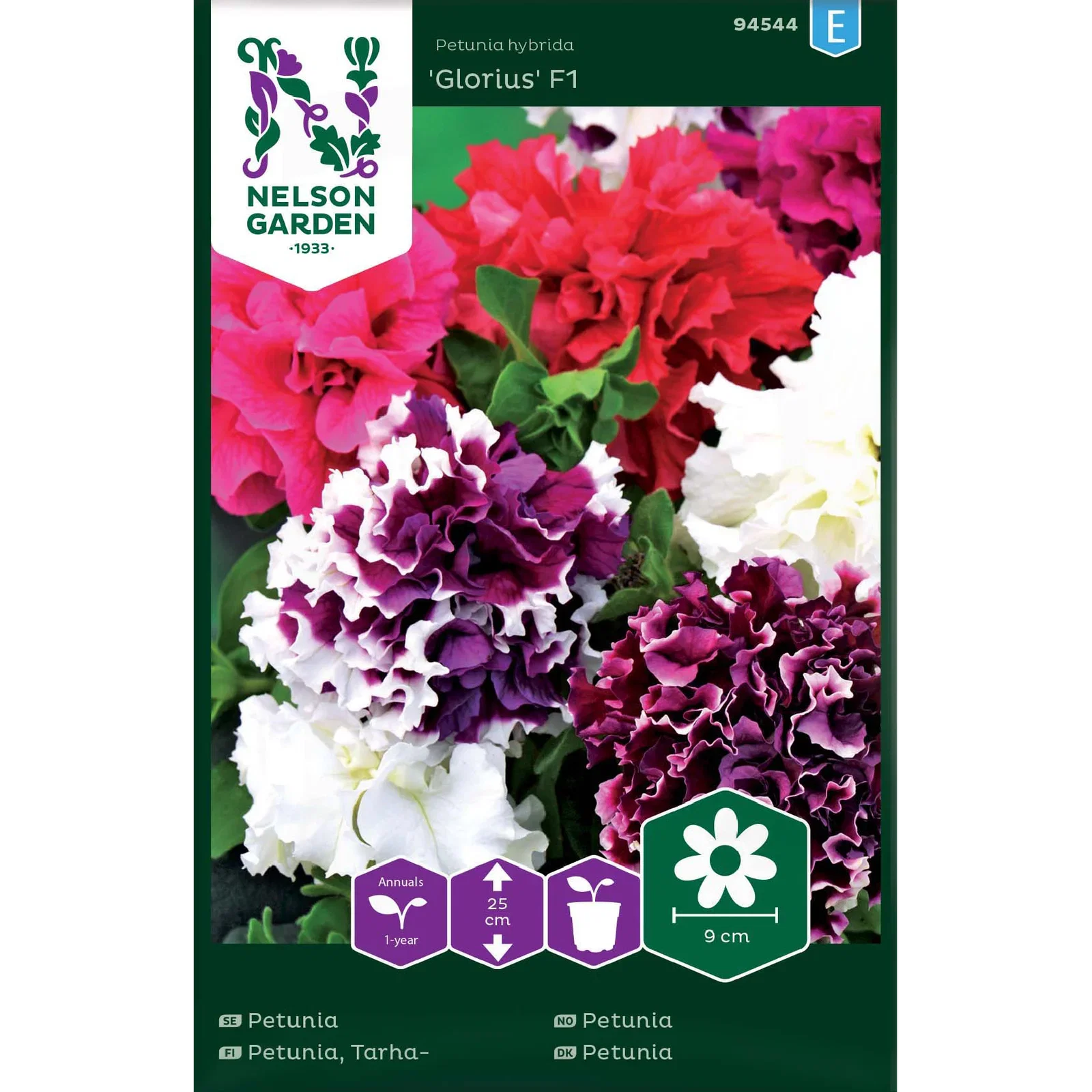 Petunia hybrida 'Glorius' Petunia 'Glorius' F1