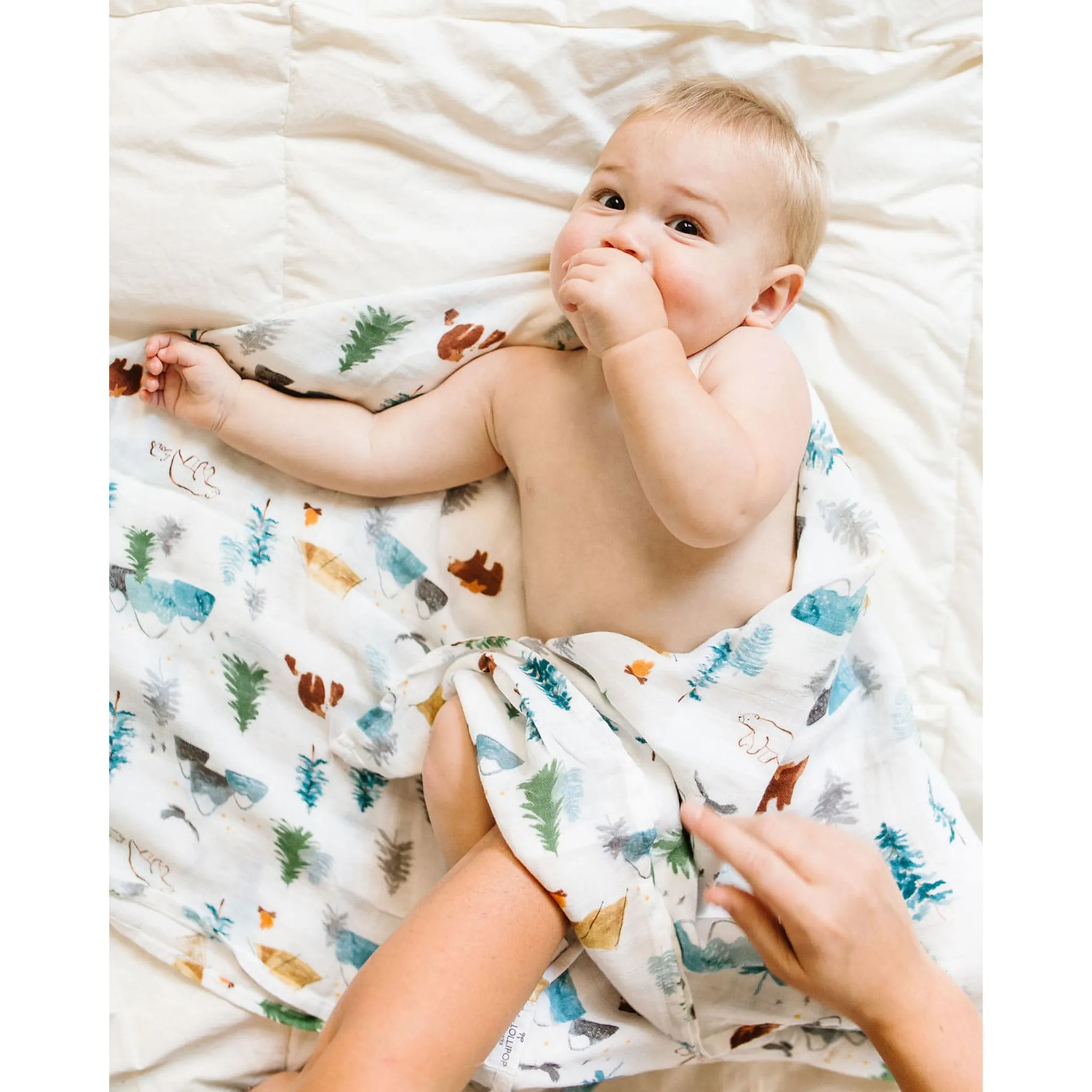 Loulou Lollipop Couverture Mousseline Bambou - Aventure
