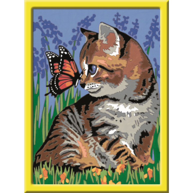 Malen nach Zahlen - Katze mit Schmetterling - Classic Serie D