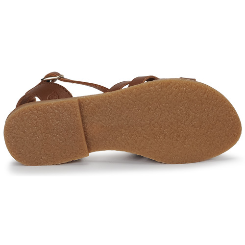 Citrouille et Compagnie - MINIBOU - Marron