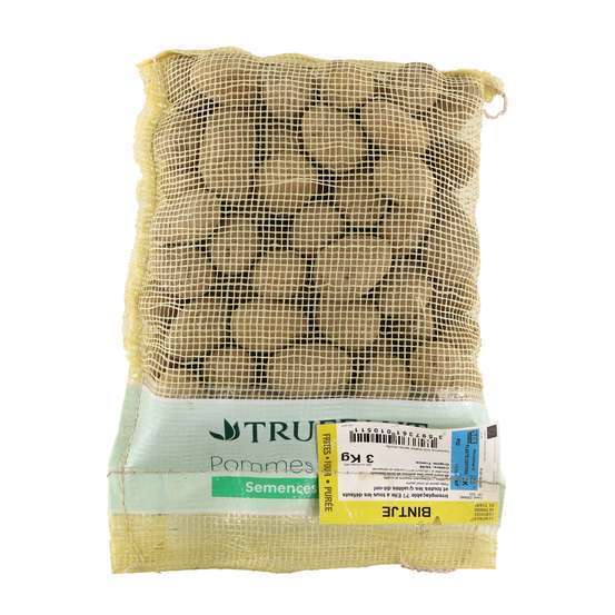 Plants de pommes de terre 'Bintje' en sac - 3 kg