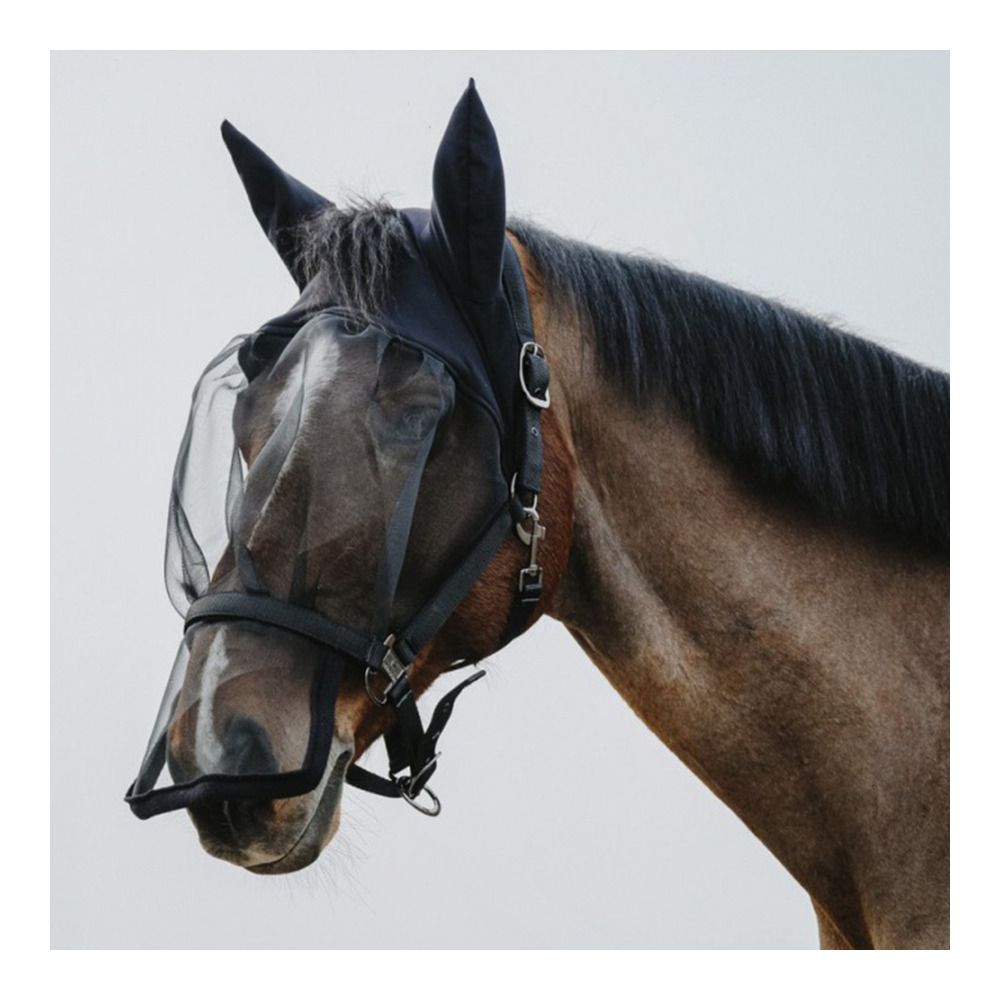 Equitheme ANTI UV - Licol + masque anti-mouches noir