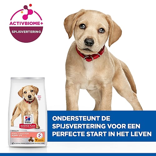 Hill's Science Plan Perfect Digestion Large Puppyvoer Kip & Rijst 14.5 kg | 12599