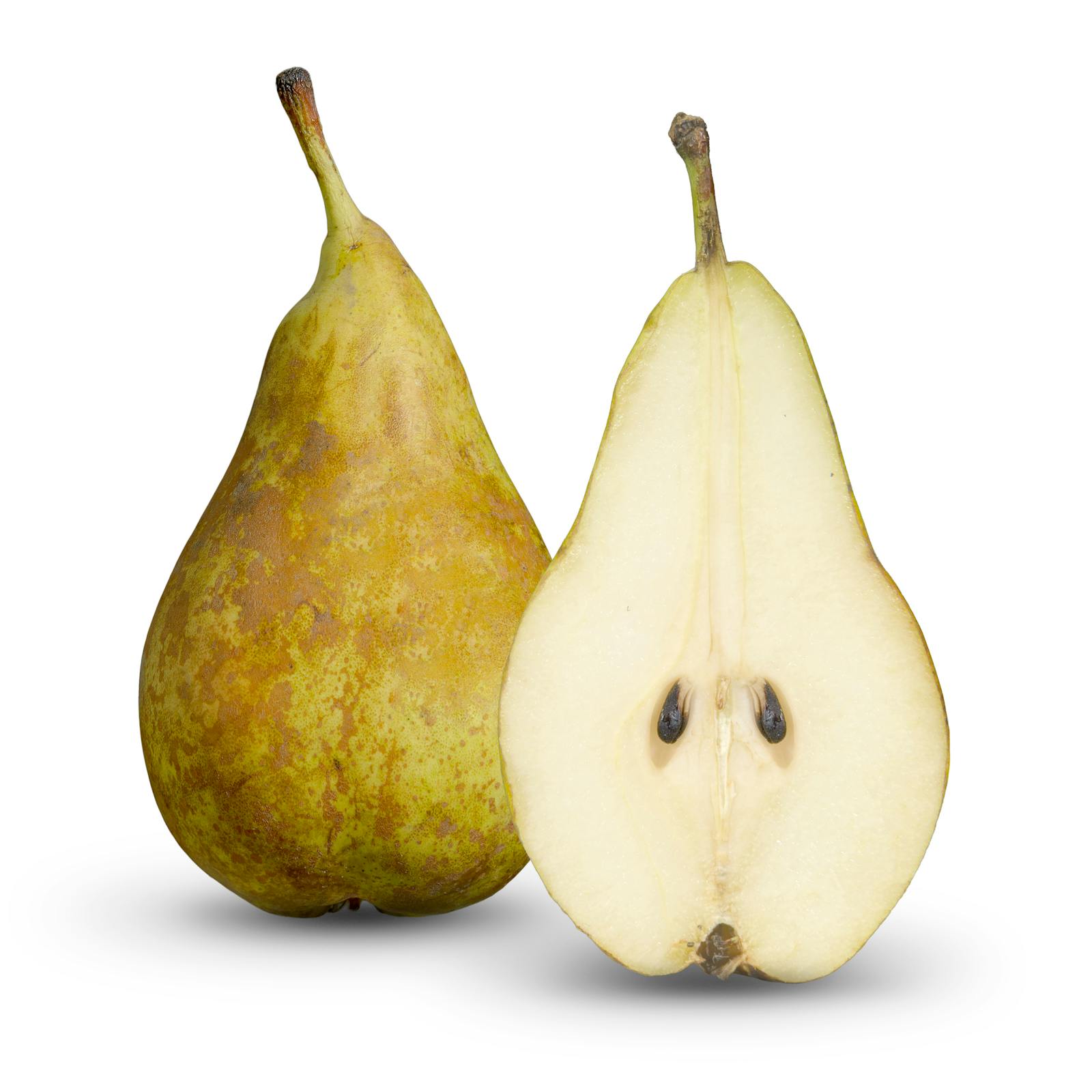 Poire Conférence