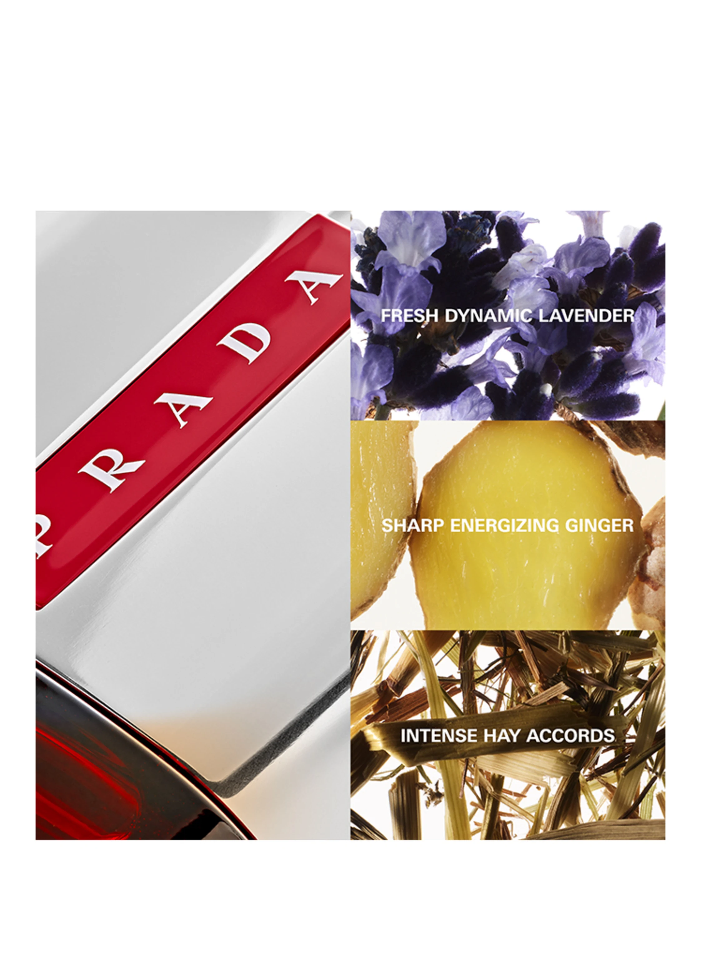 PRADA Parfums LUNA ROSSA SPORT