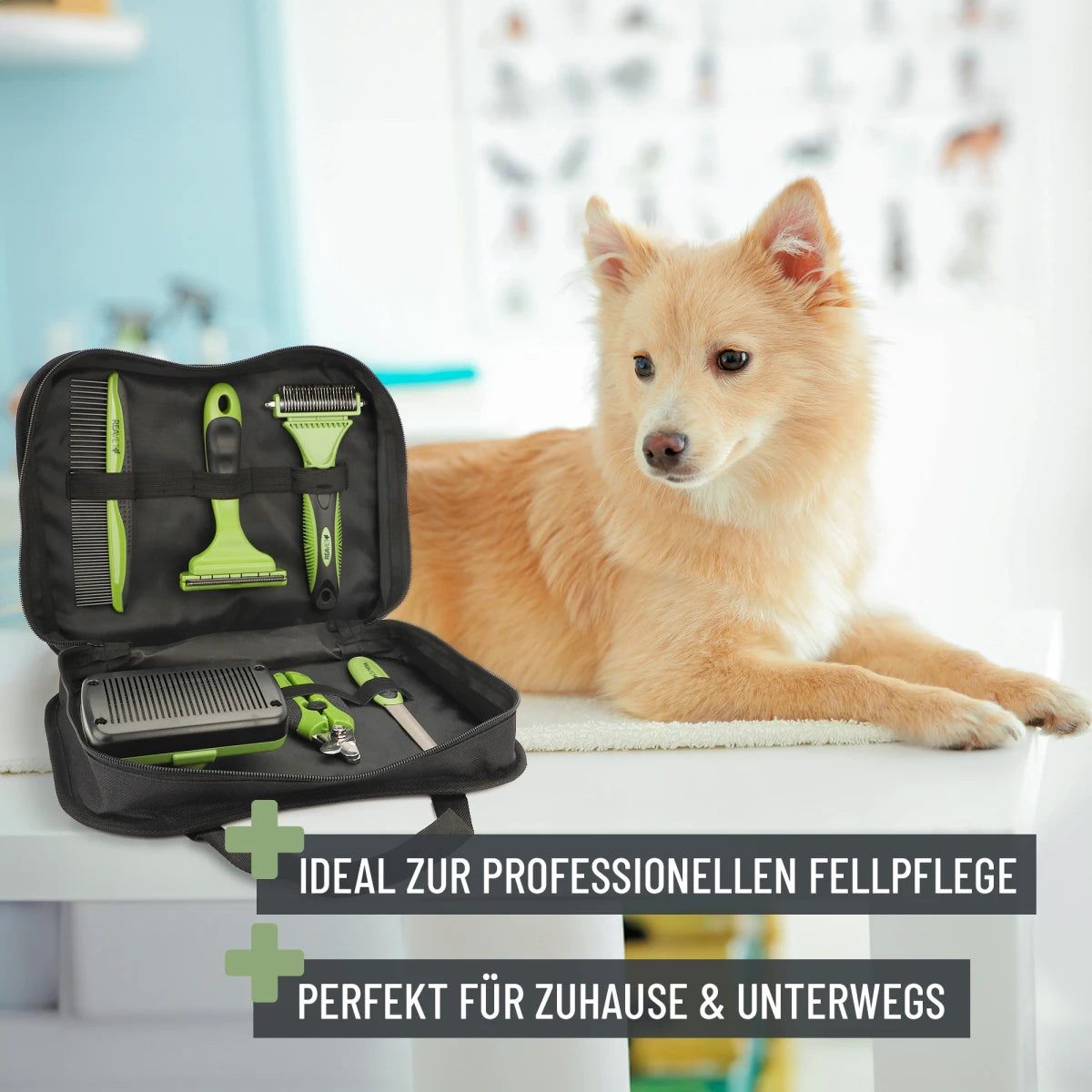 Fellpflege Profi-Set - ReaVET