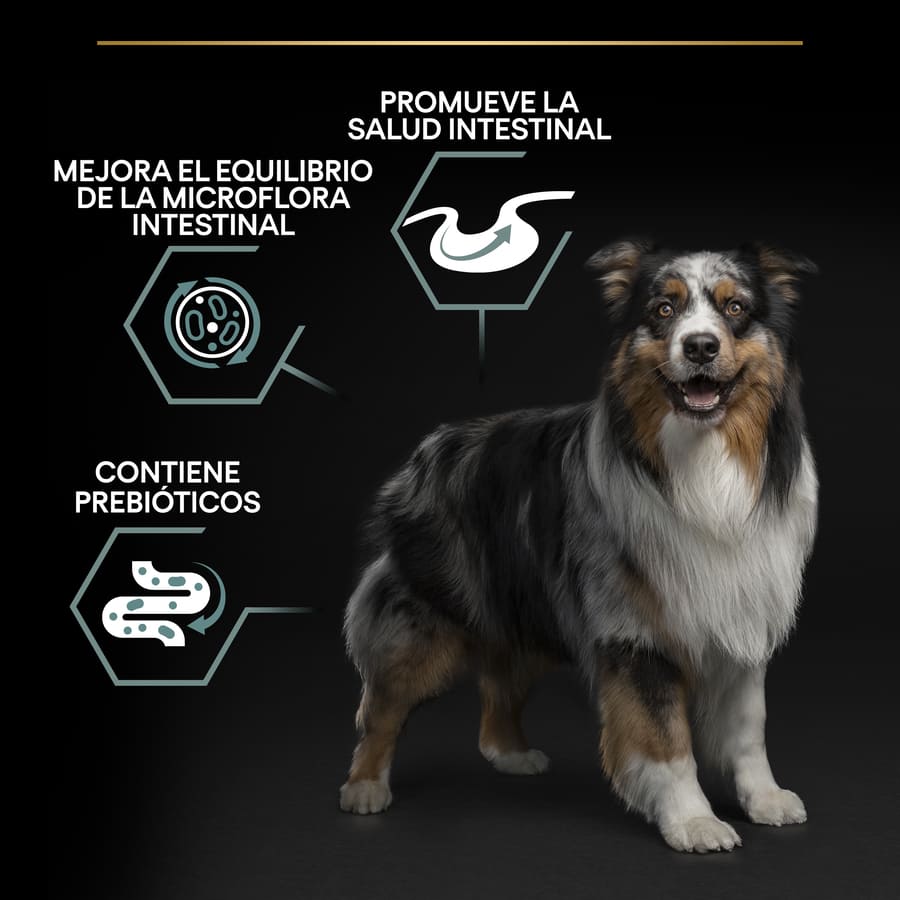 Pro Plan Adult Medium Digestion Lamb Dog Food