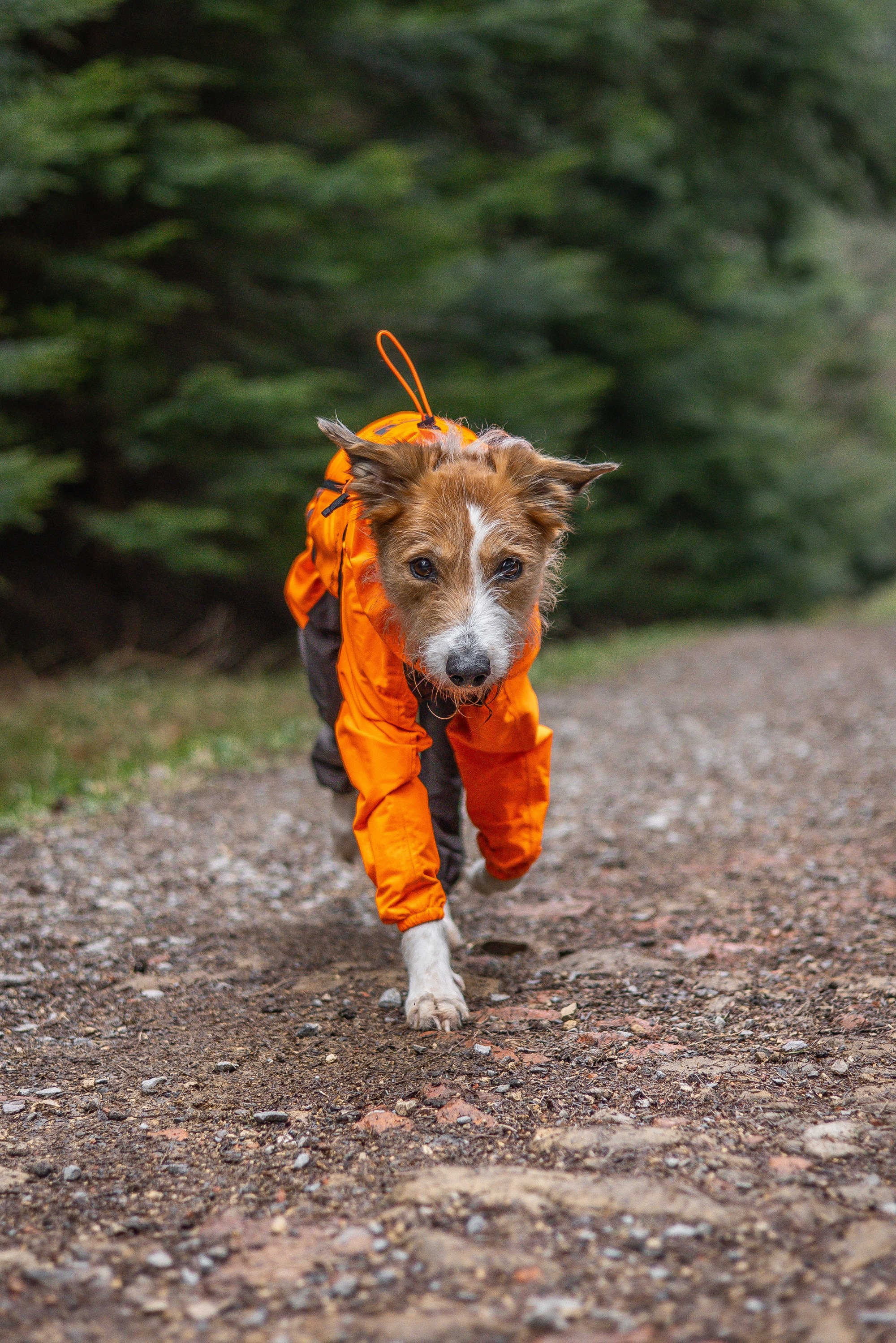 Non-Stop Dogwear Fjord Overall Raincoat<br> Vanntett og pustende regndekken!