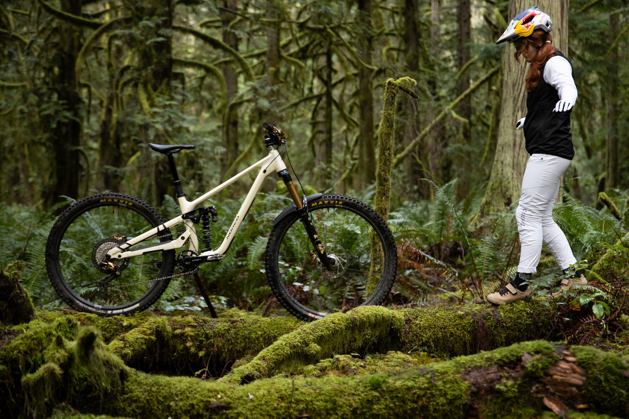 Fox Racing Shox Fox Float 36 Factory 29