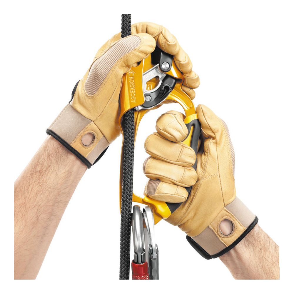 Petzl ASCENSION DROITE - Bloqueur or/noir