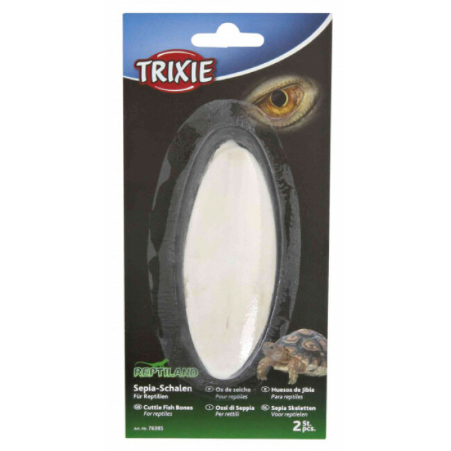 Os de seiche pour reptile