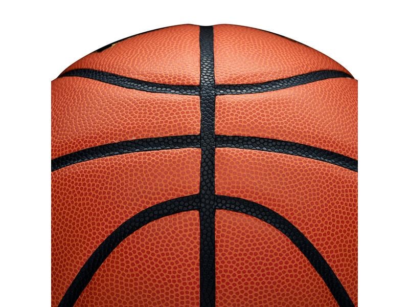 Wilson Basketball Evolution Game Ball SZ6 Basketball