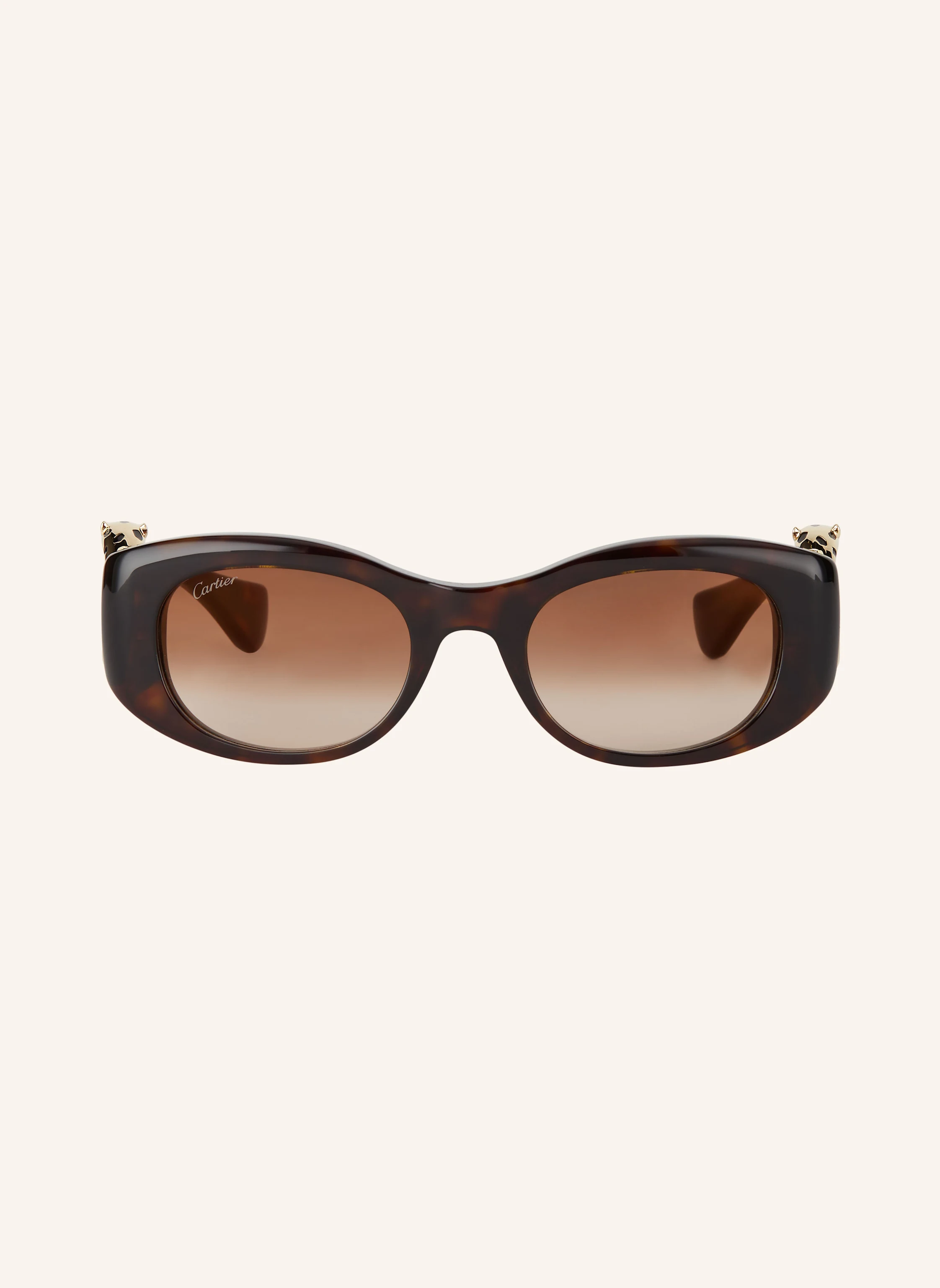 Cartier Sonnenbrille 6L001733