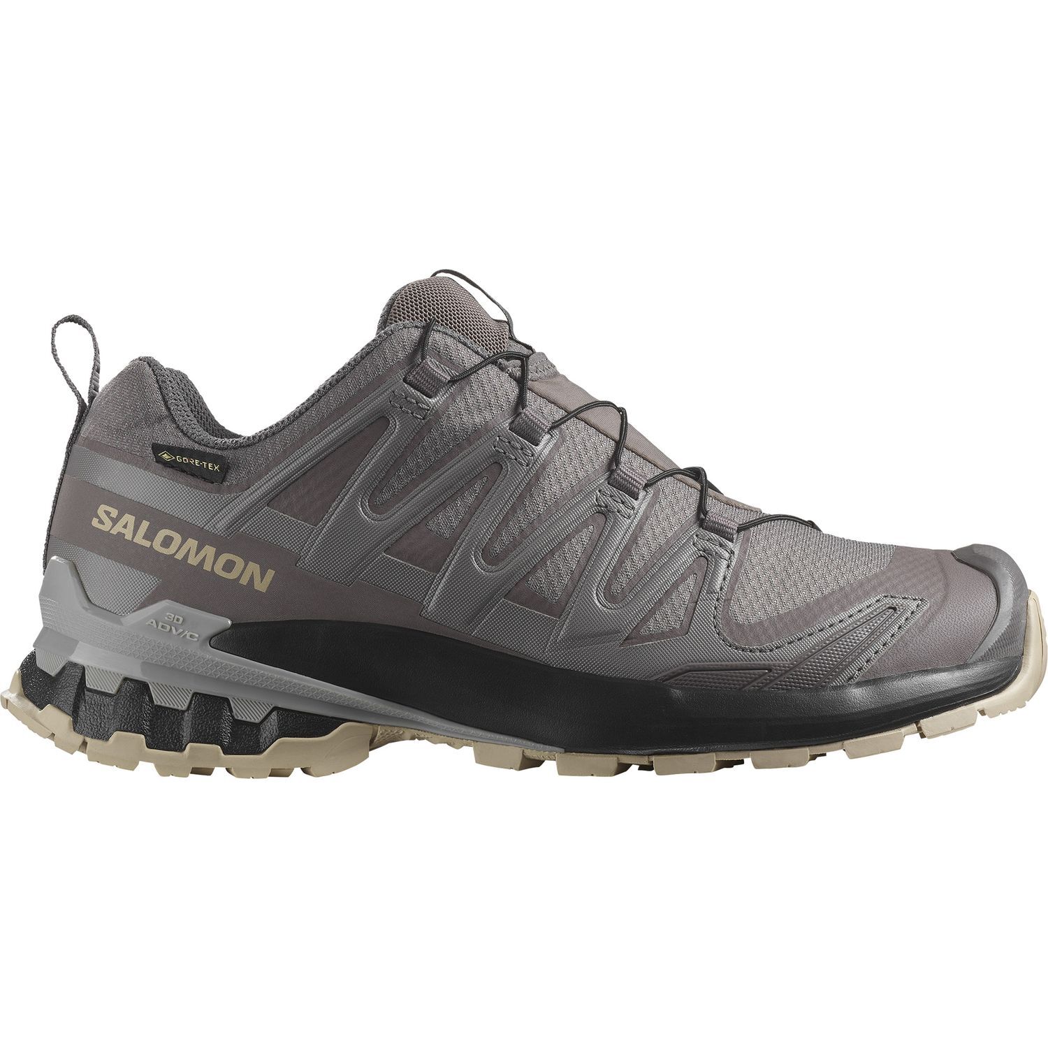 SalomonXA PRO 3D V9 GTX W