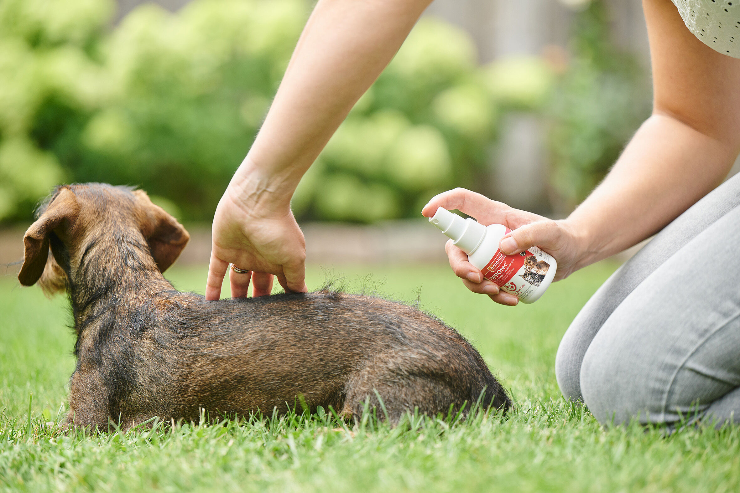 Beaphar Fiprotec Pipet - Anti Vlooien en teken - Hond - 4 Stuks - S