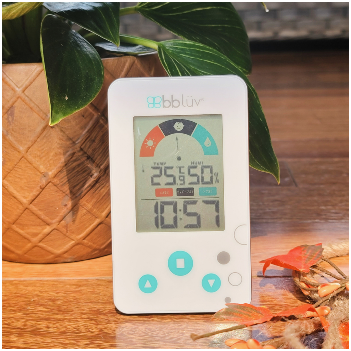 bblüvbblüv   Igrö 2in1 Digitalthermometer und Hygrometer