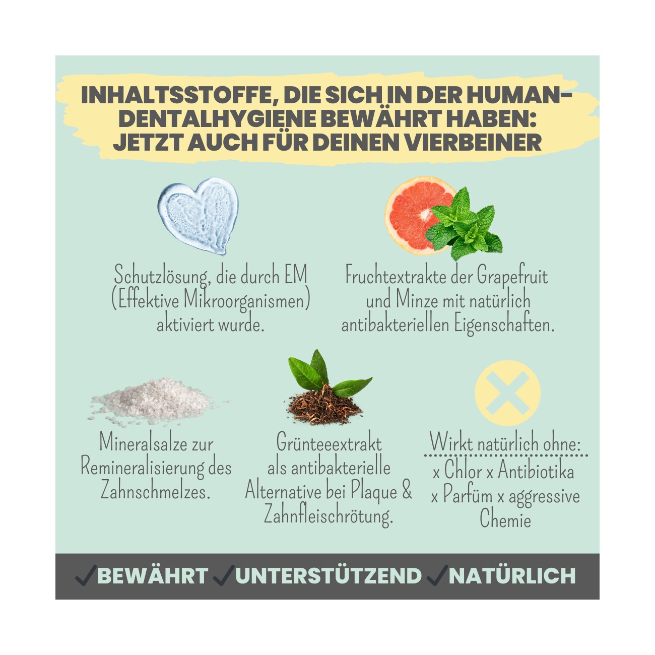 noms+ Dentalspray bei Zahnstein für Hunde und Katzen 100ml