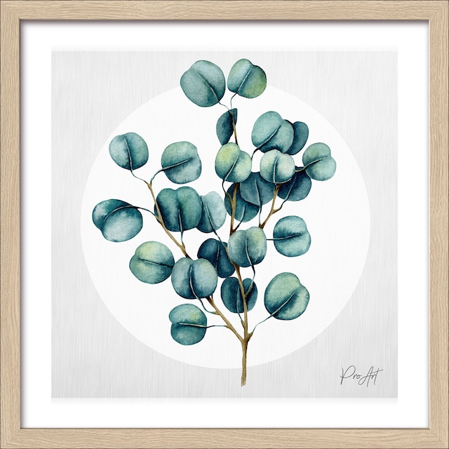PRO ART Slim-Scandic Bild DIFFERENT EUCALYPTUS BRANCHES III 33 x 33 cm Rahmen mehrfarbig
