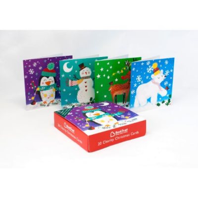 Festive Friends Charity Box x20