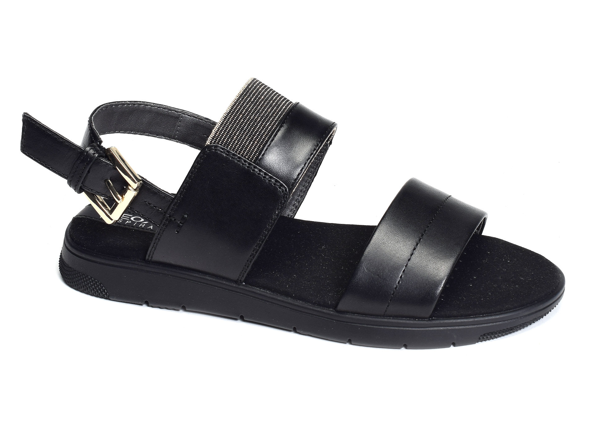 D dandra b noir