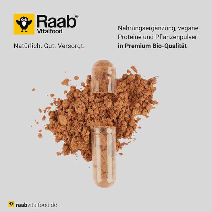 Raab Vitalfood OPC Extrakt Kapseln Bio, 60 St
