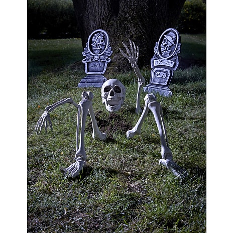 Halloween skelet dele sæt H: ca. 31 cm - hvid