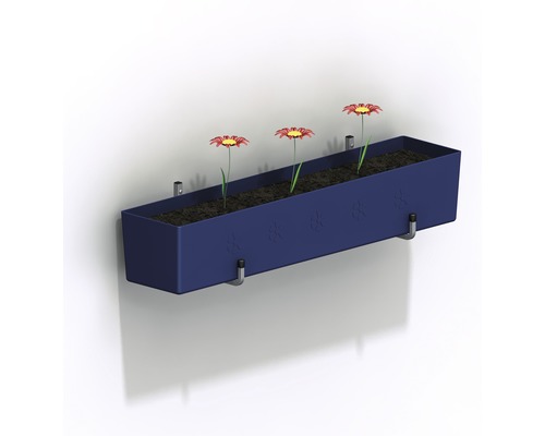 Alfer wandbloembakhouder, verstelbare diepte 190-255 x hoogte 230 mm, blank aluminium