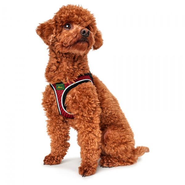 Hunter - Harness Hilo Comfort - Harnais pour chien