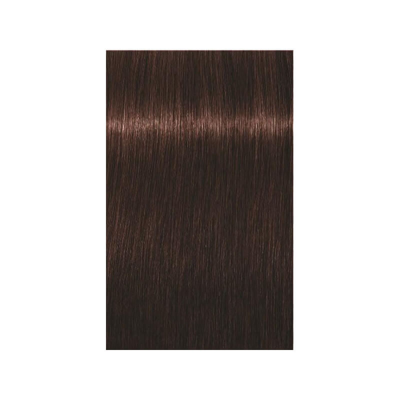 Coloration Igora Royal Schwarzkopf 60ML ( Par numéro )