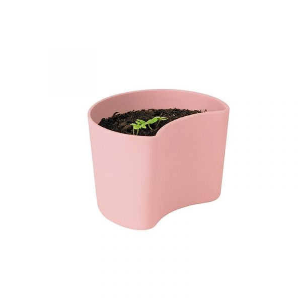 Rig-tig Vaso com Sementes Rosa - Your Tree - RTZ00136-2