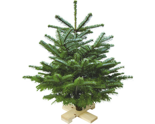 Nordmannspar op houten kruis, 80-100 cm hoog, gekapte kerstboom uit duurzame teelt