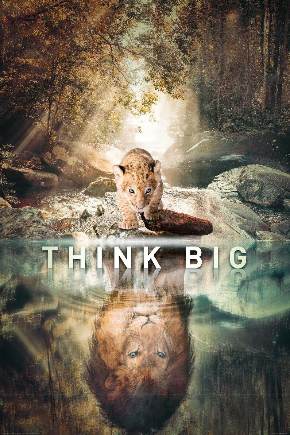 Poster Think Big 61 x 91 cm