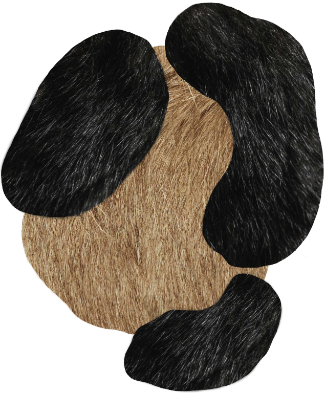 Moooi Carpets Bearded Leopard 1 vloerkleed 206x249