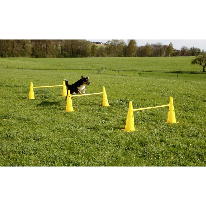 Hundespielzeug - Agility - Pylonen-Hürden Set