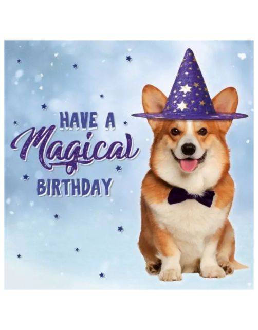 Plenty Gifts Kaart Magical Birthday - Cadeau - 13.7x13.7 cm