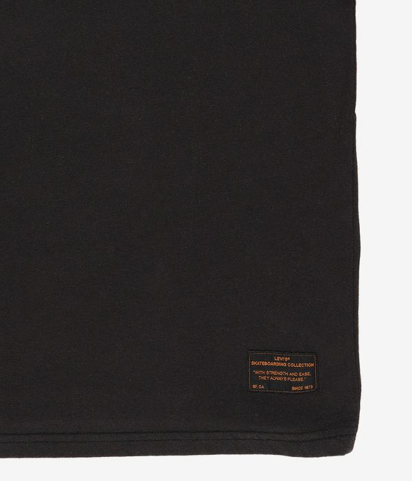 Levi's Skate Graphic T-Shirt (black core batwing black)