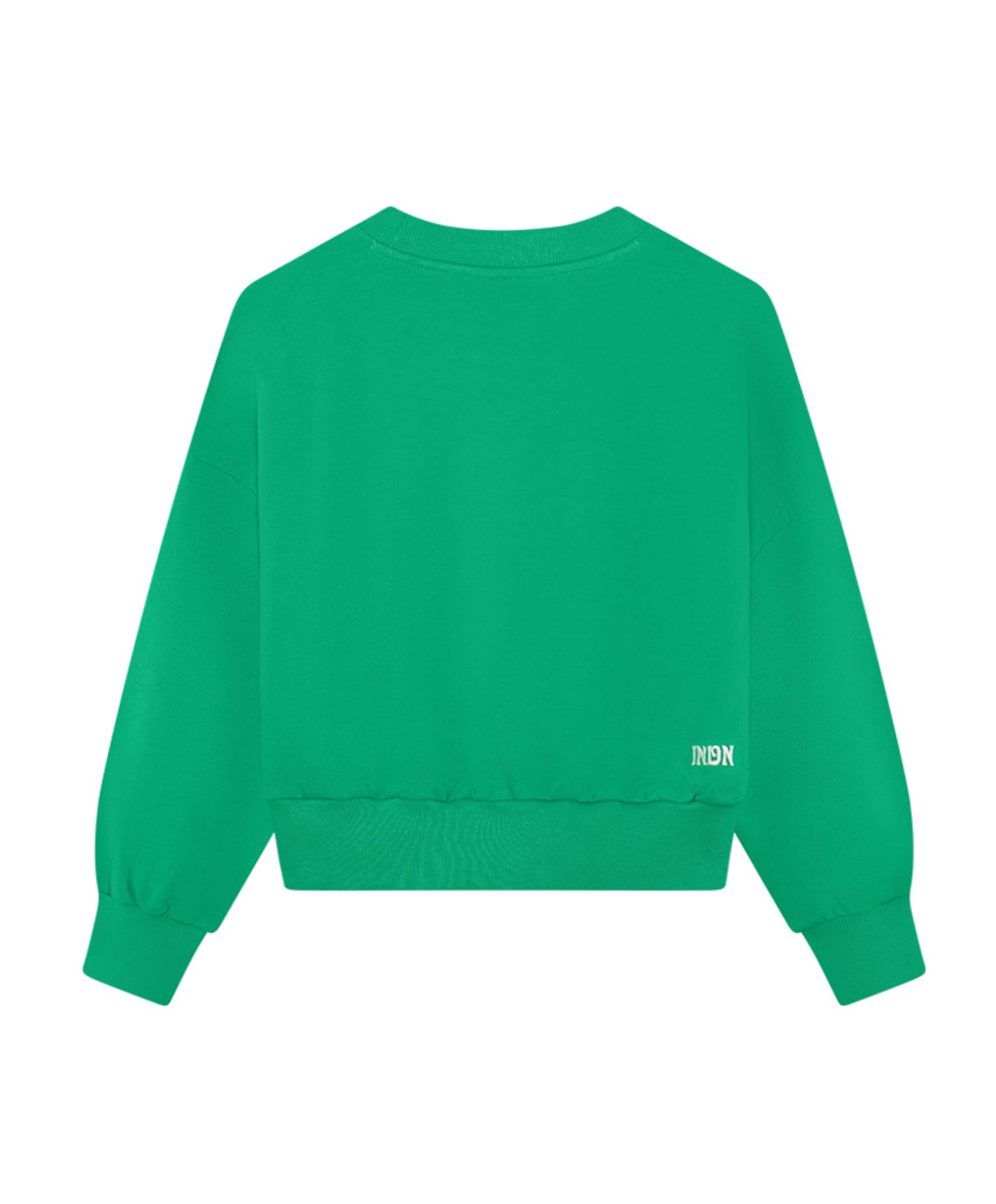 Indian Blue Jeans Meisjes sweater groen