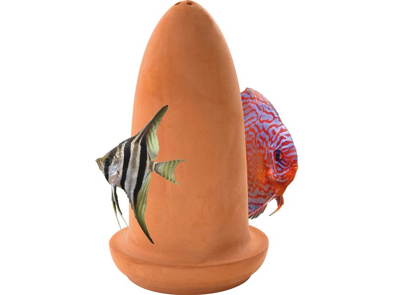 SuperFish Ablaichkegel Ablaichplatz für Fische