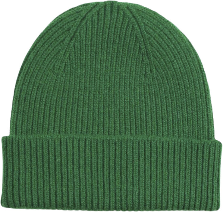 Colorful Standard Merino Wool Beanie Kelly green