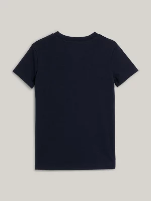 Camiseta Global Stripe