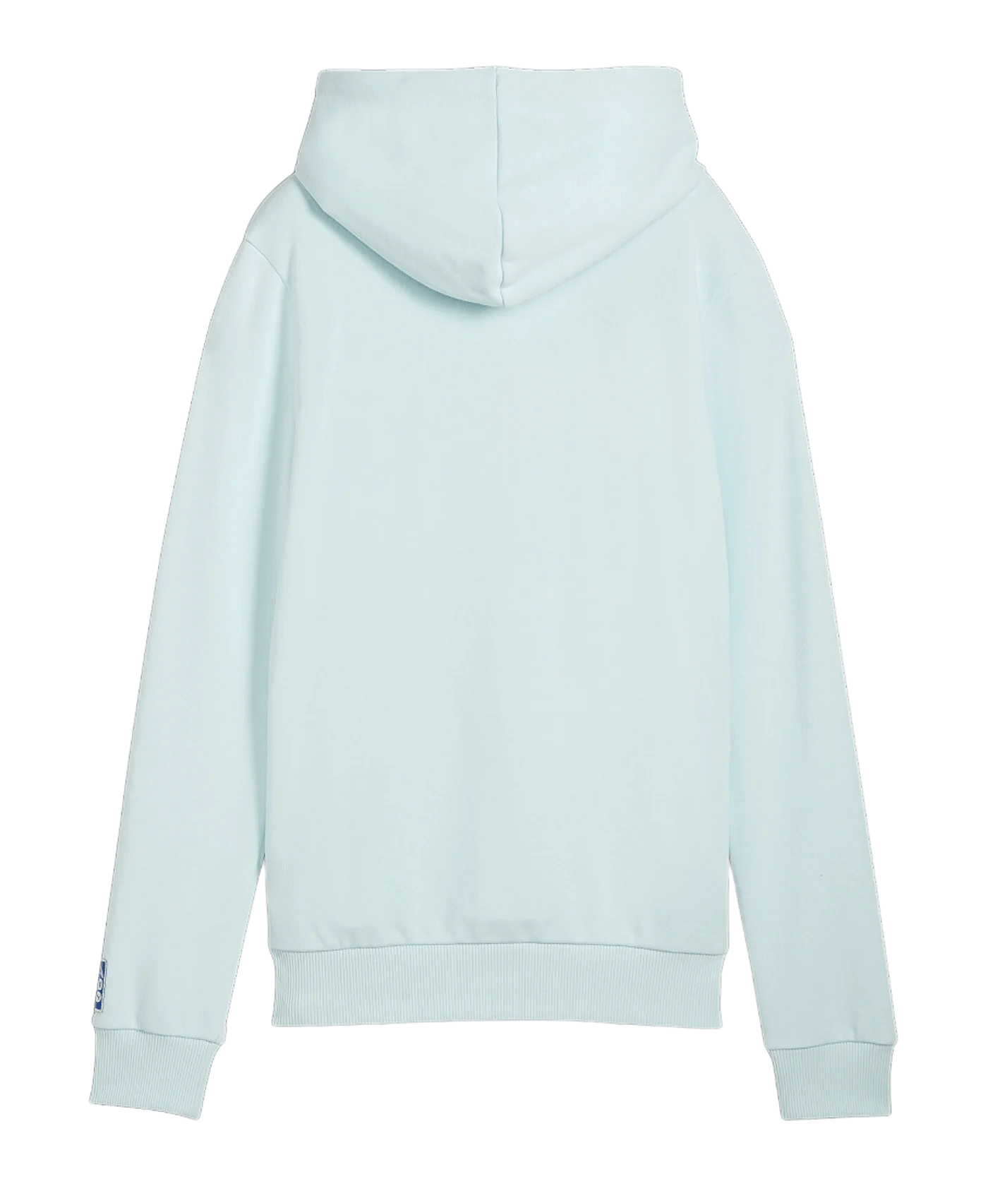 PUMA Handball Hoody Damen Blau F12
